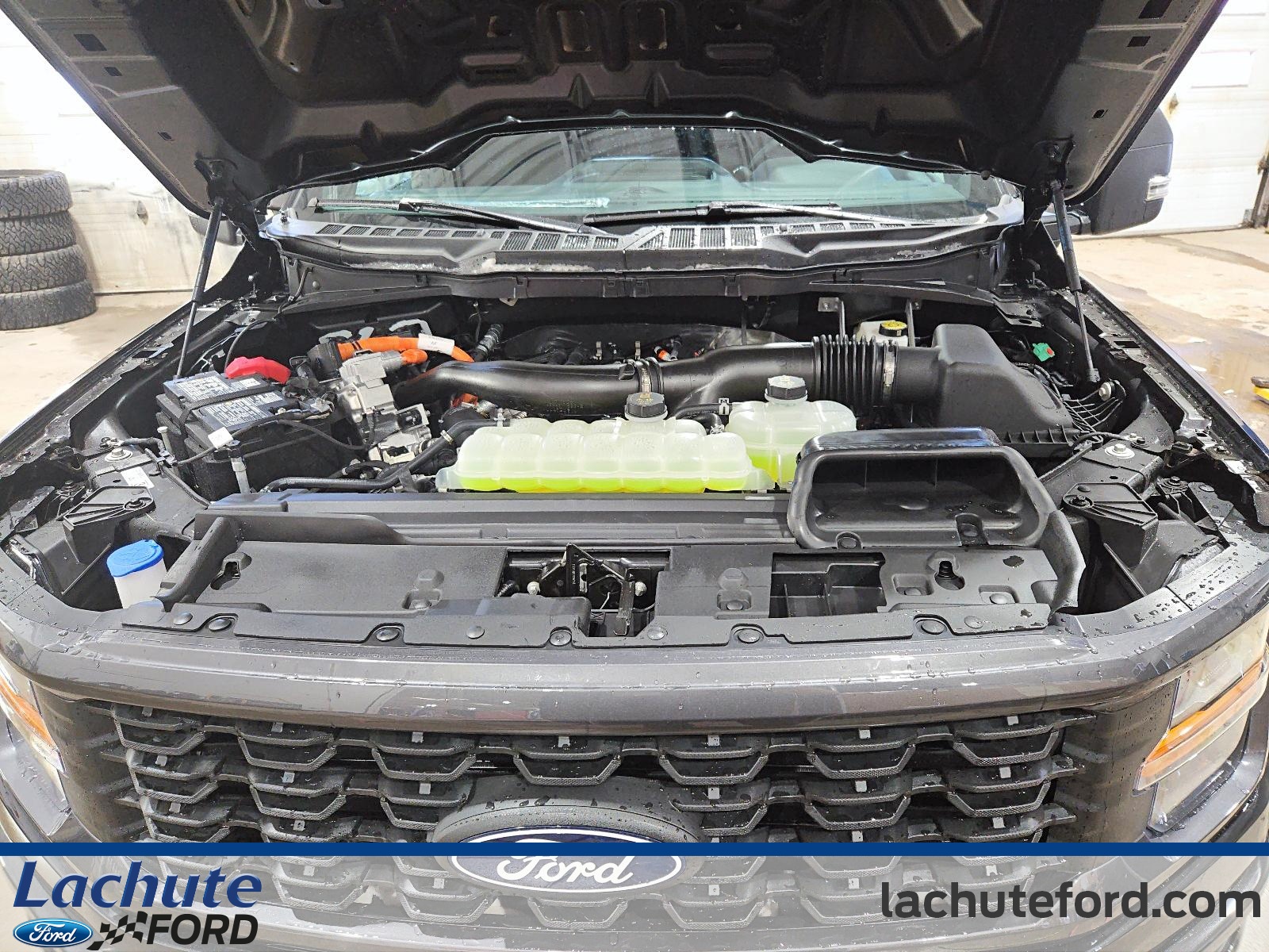 2026 Ford F-150 Hybrid - Image 7