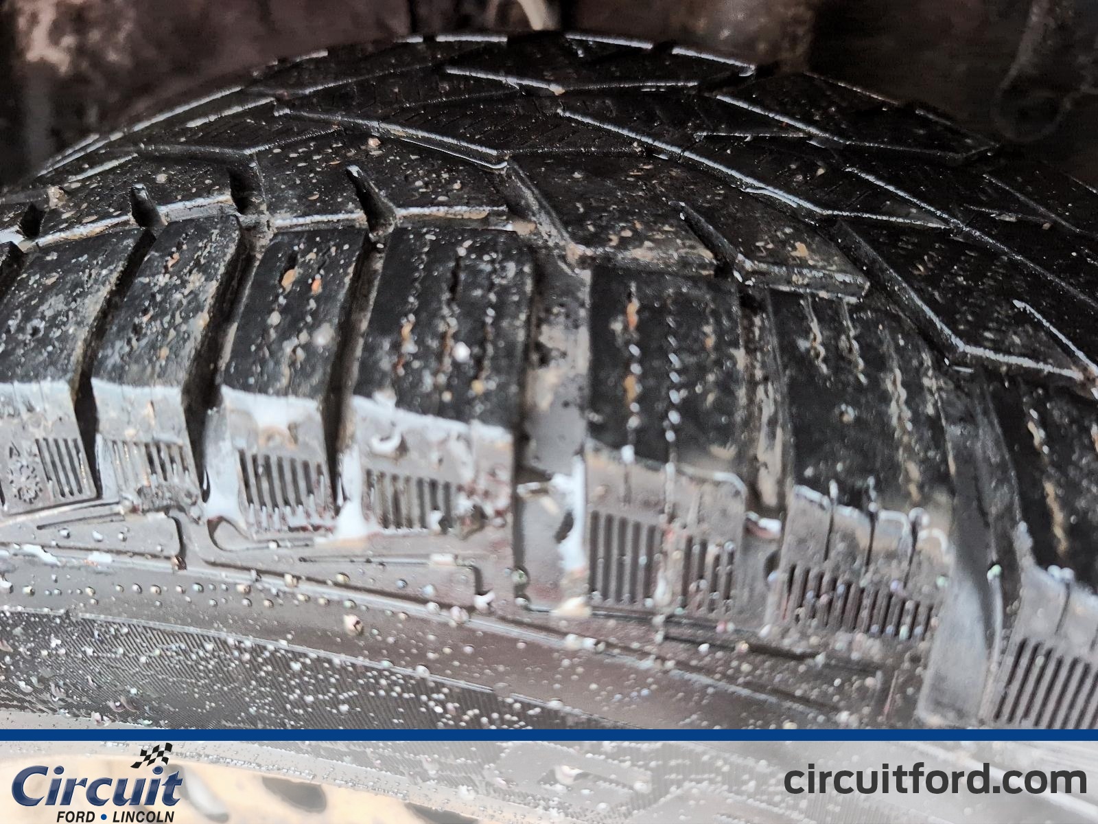 2019 Toyota RAV4 - Image 6