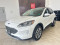 2021 Ford Escape - Image 1