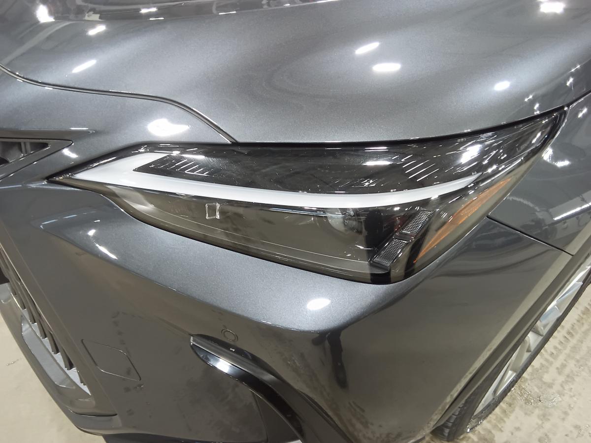 2024 Lexus NX 350h - Image 10