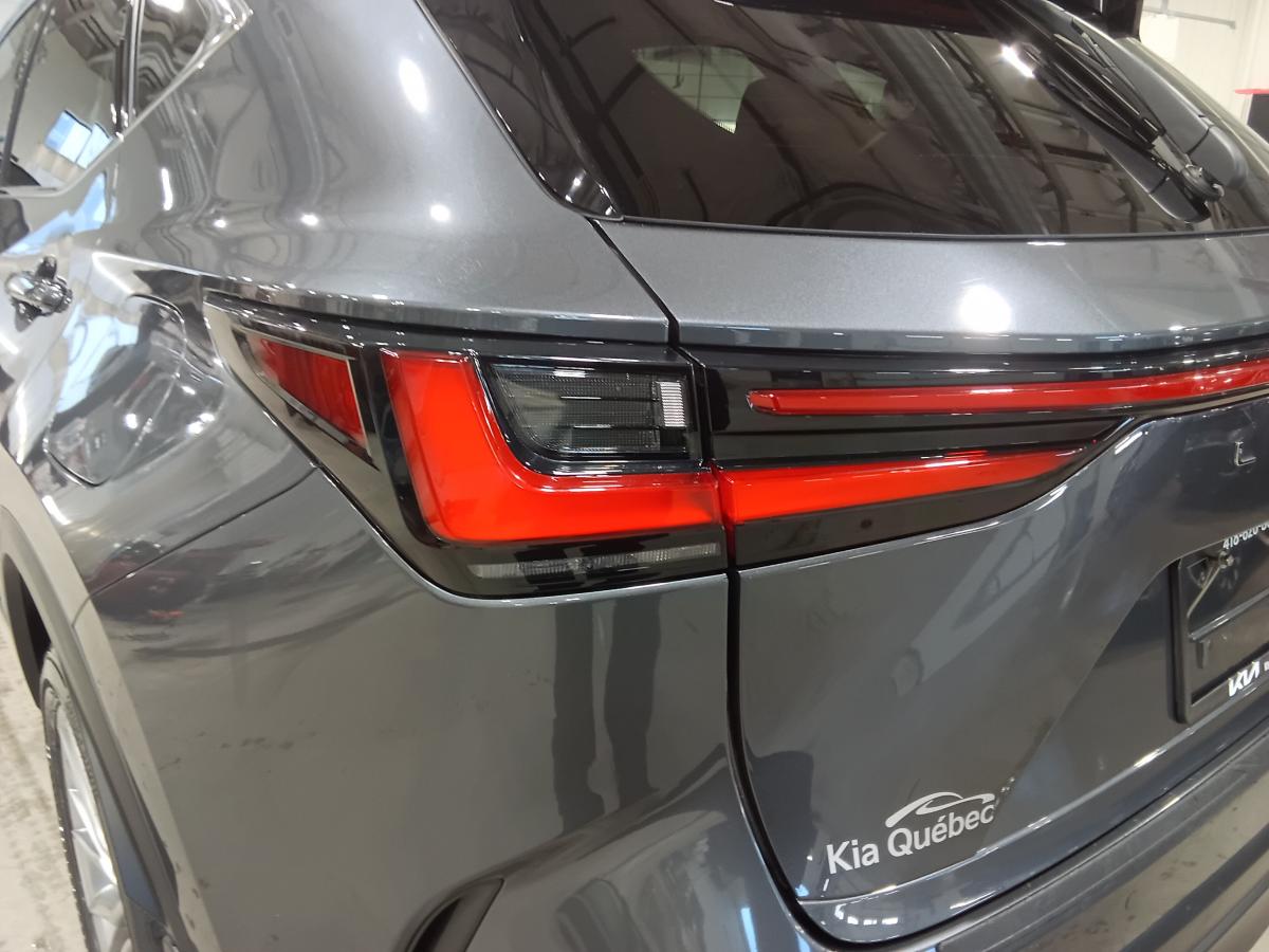 2024 Lexus NX 350h - Image 13