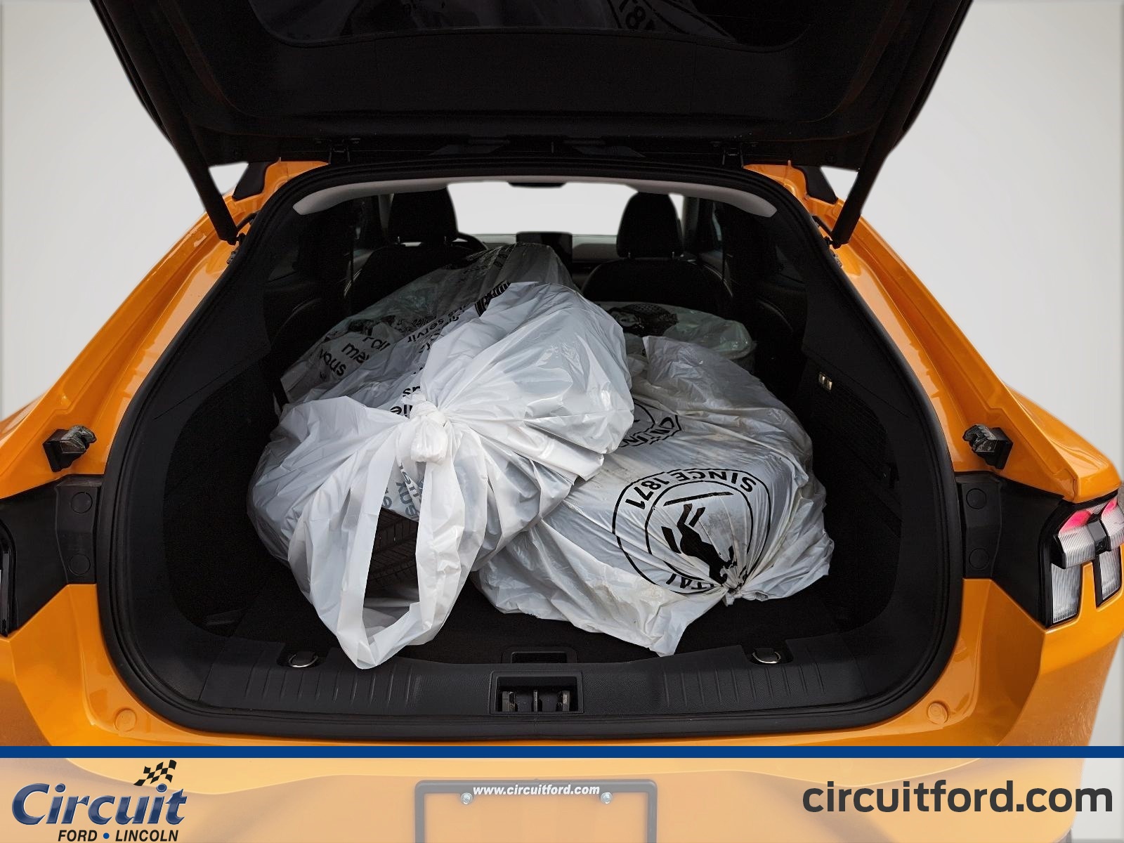 2023 Ford Mustang Mach-E - Image 7