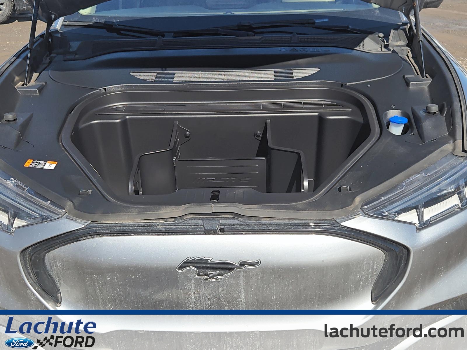 2021 Ford Mustang Mach-E - Image 9