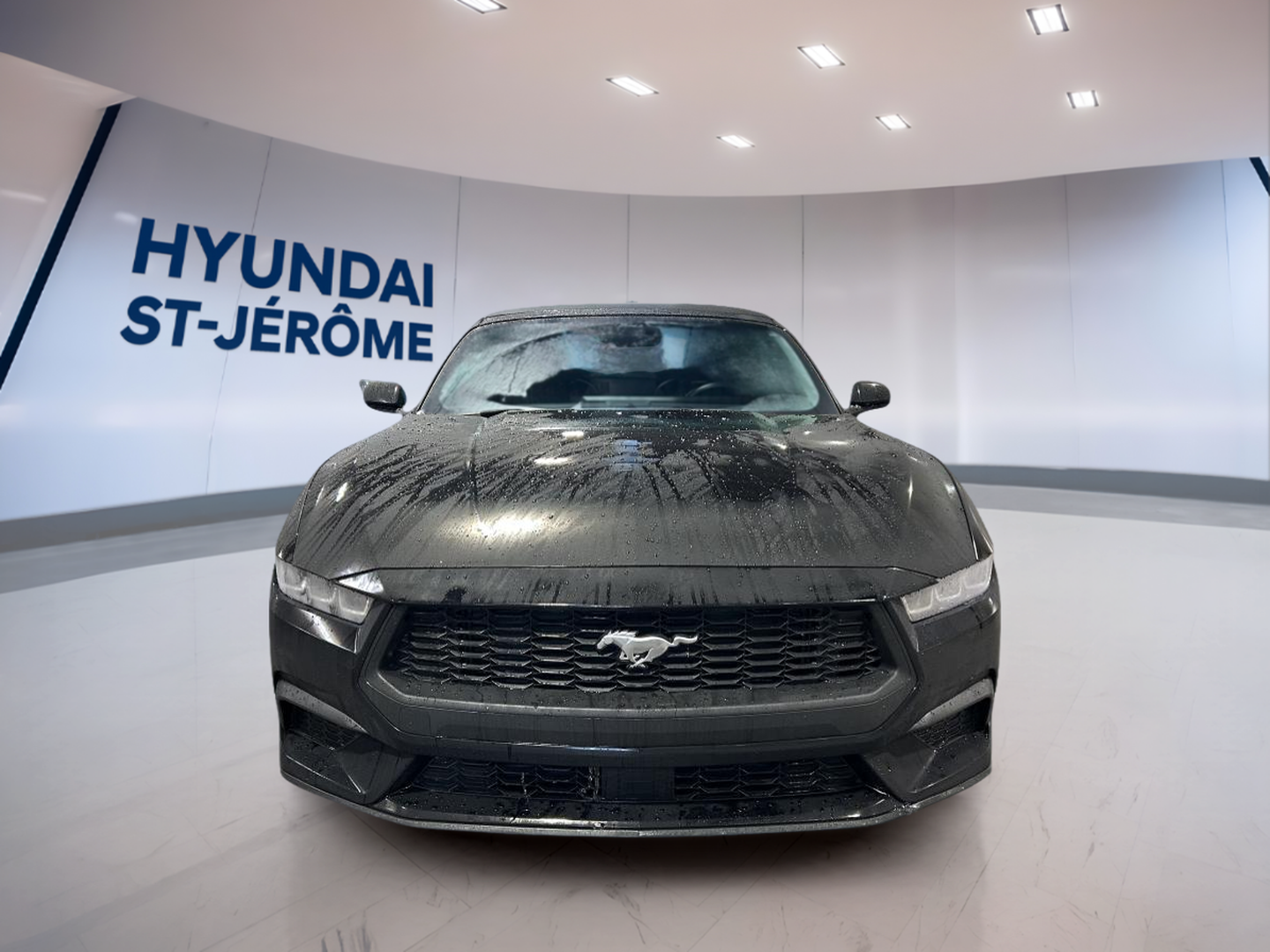 2024 Ford Mustang - Image 2