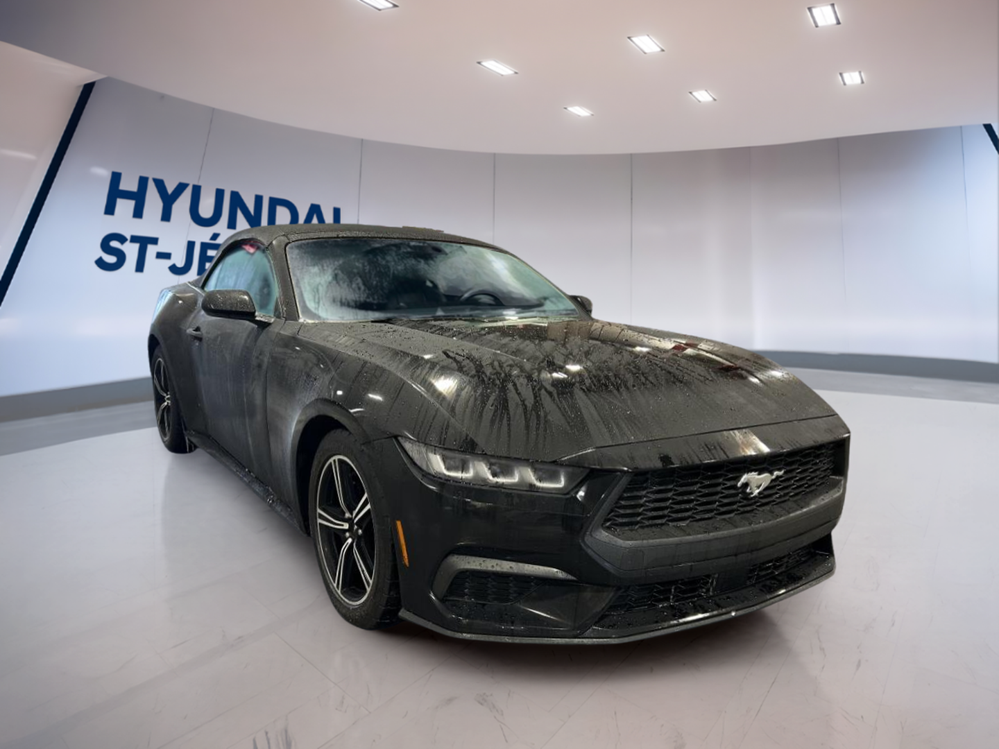 2024 Ford Mustang - Image 3