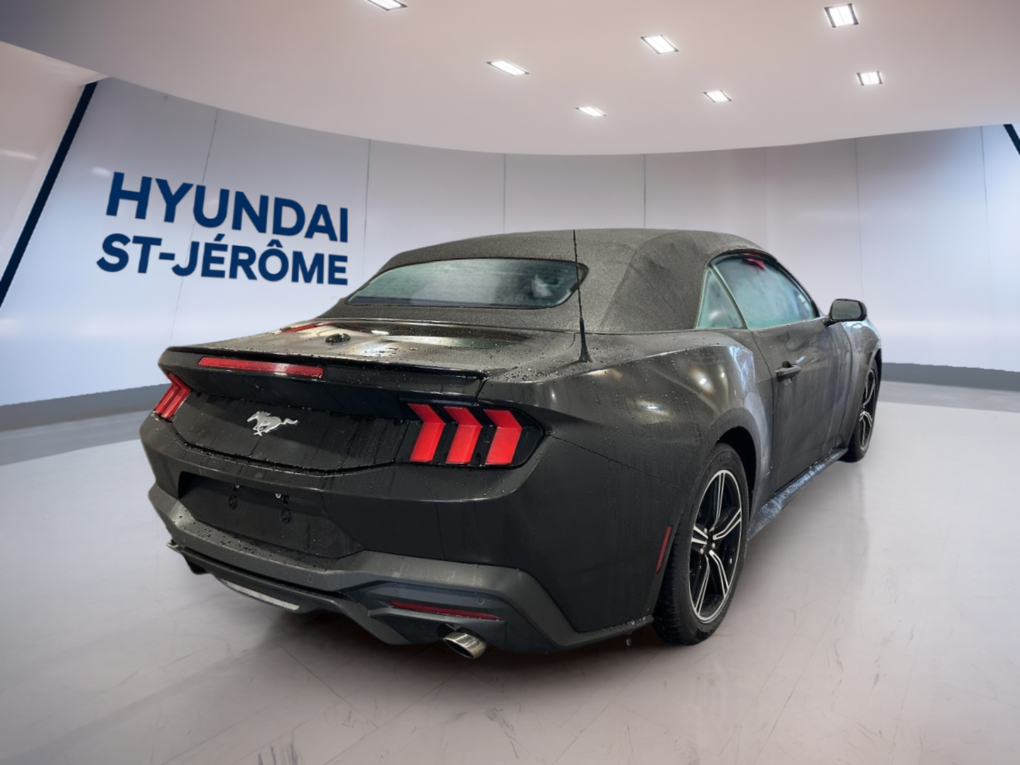 2024 Ford Mustang - Image 5