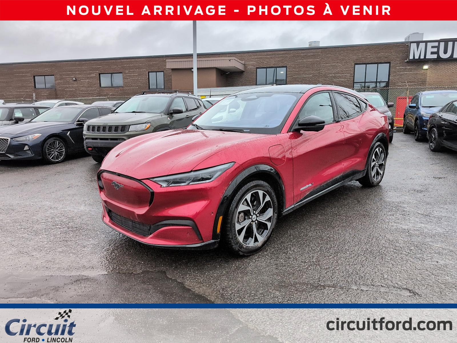 2021 Ford Mustang Mach-E