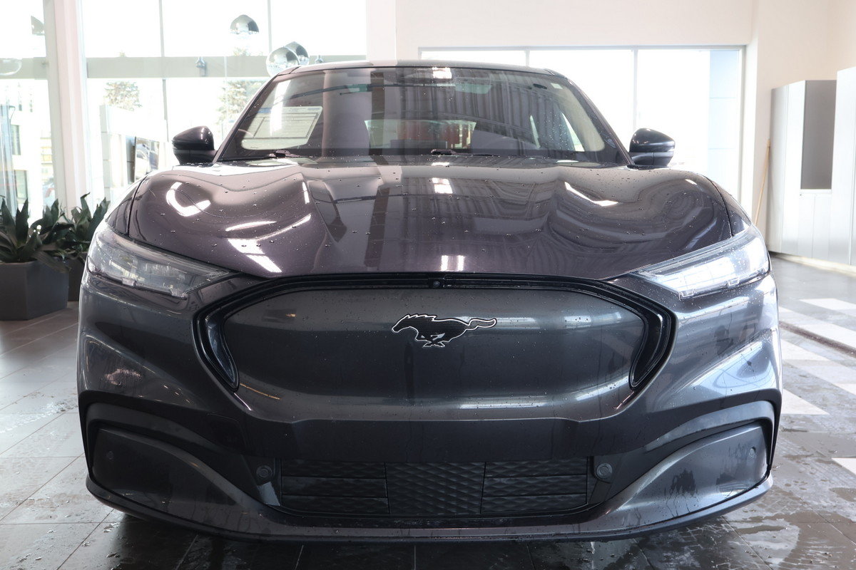 2021 Ford Mustang Mach-E - Image 9