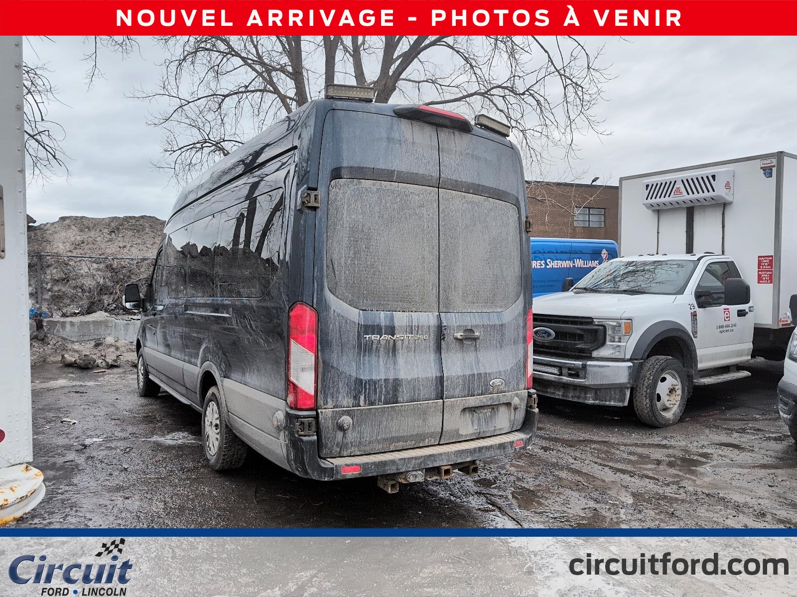 2019 Ford  - Image 4