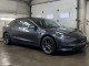 2021 Tesla Model 3 - Thumbnail 18