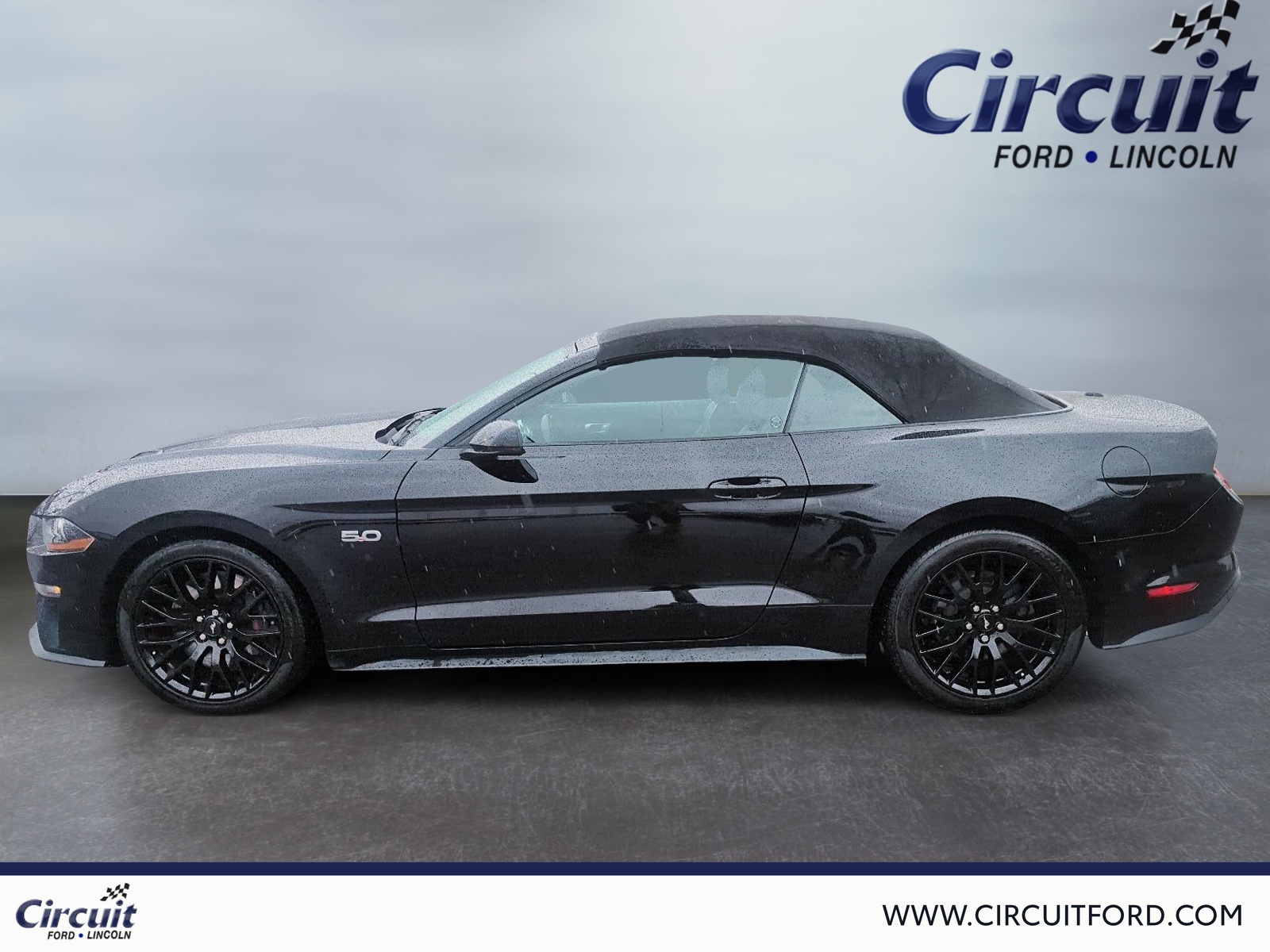 2022 Ford Mustang - Image 44