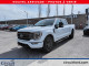 2023 Ford F-150 - Thumbnail 27