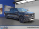 2026 Ford F-150 Hybrid - Thumbnail 116