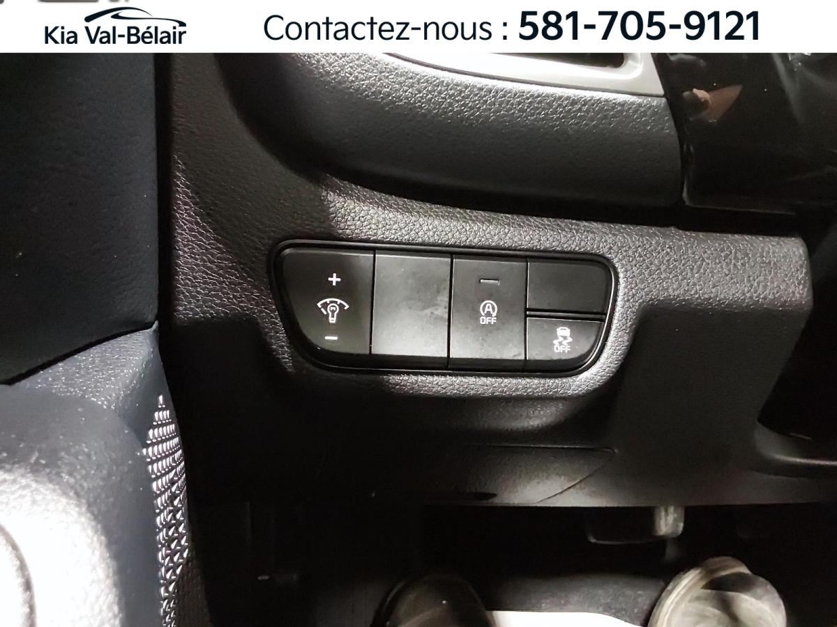 2024 Kia Seltos - Image 263