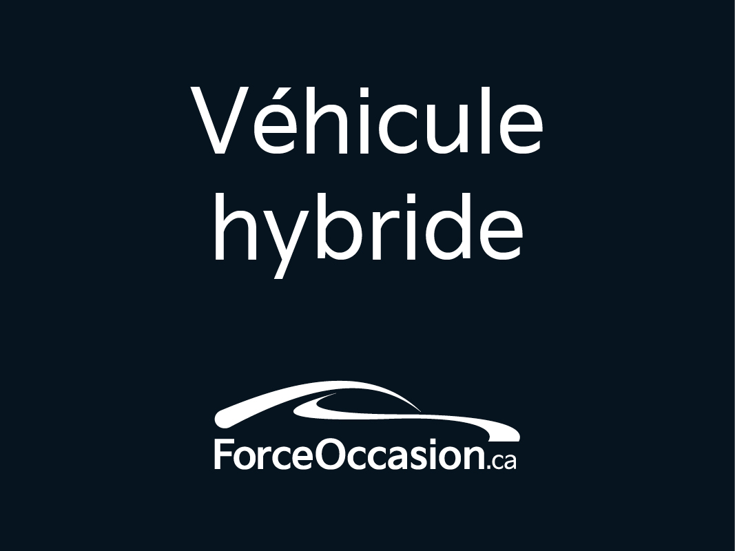 2024 Hyundai Tucson Hybrid - Image 231