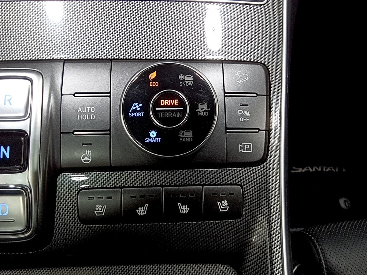 2021 Hyundai Santa Fe - Image 554