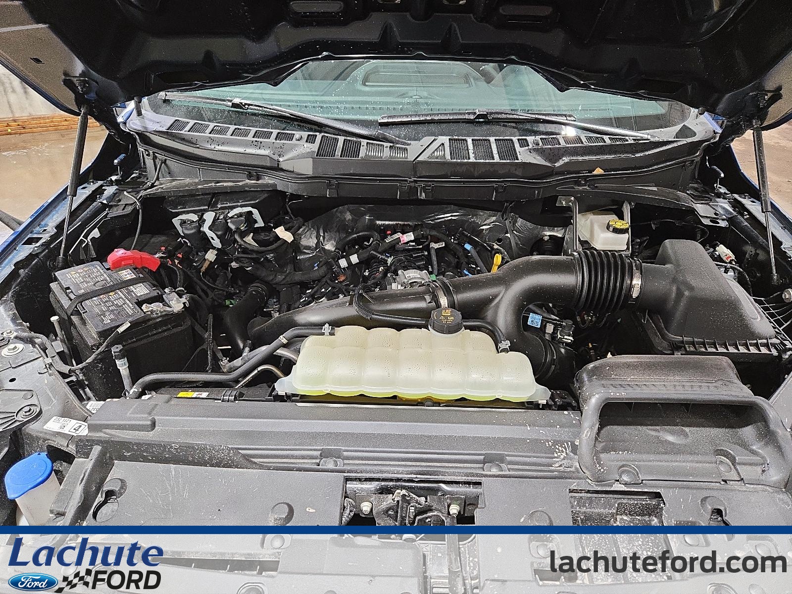2025 Ford F-150 - Image 569
