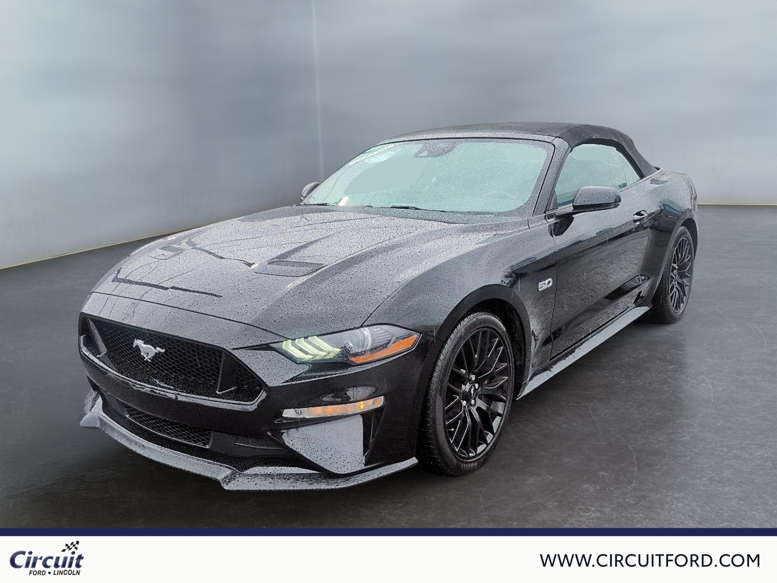 2022 Ford Mustang - Image 419