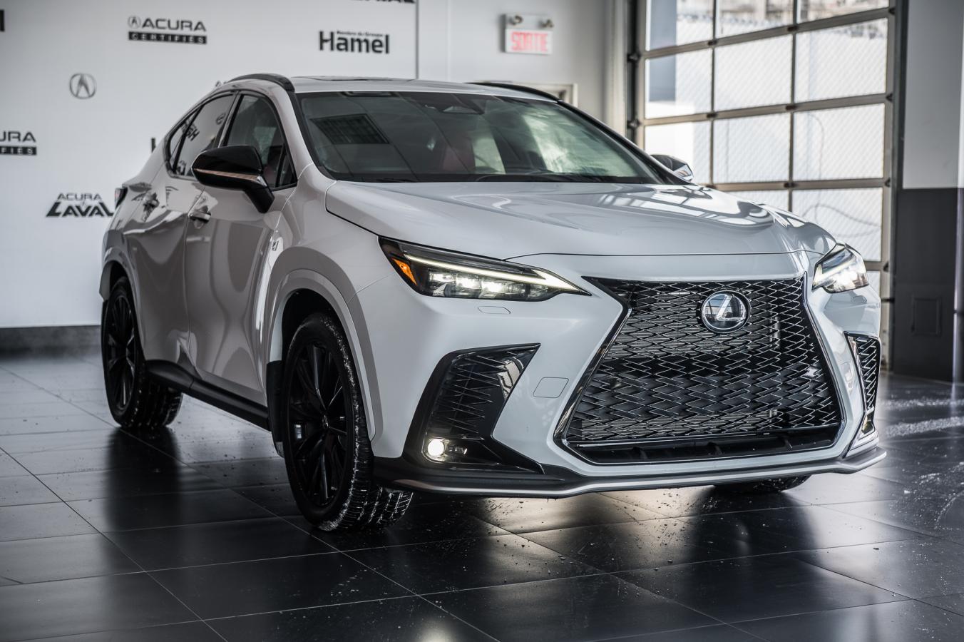 2022 Lexus NX 350 - Image 841