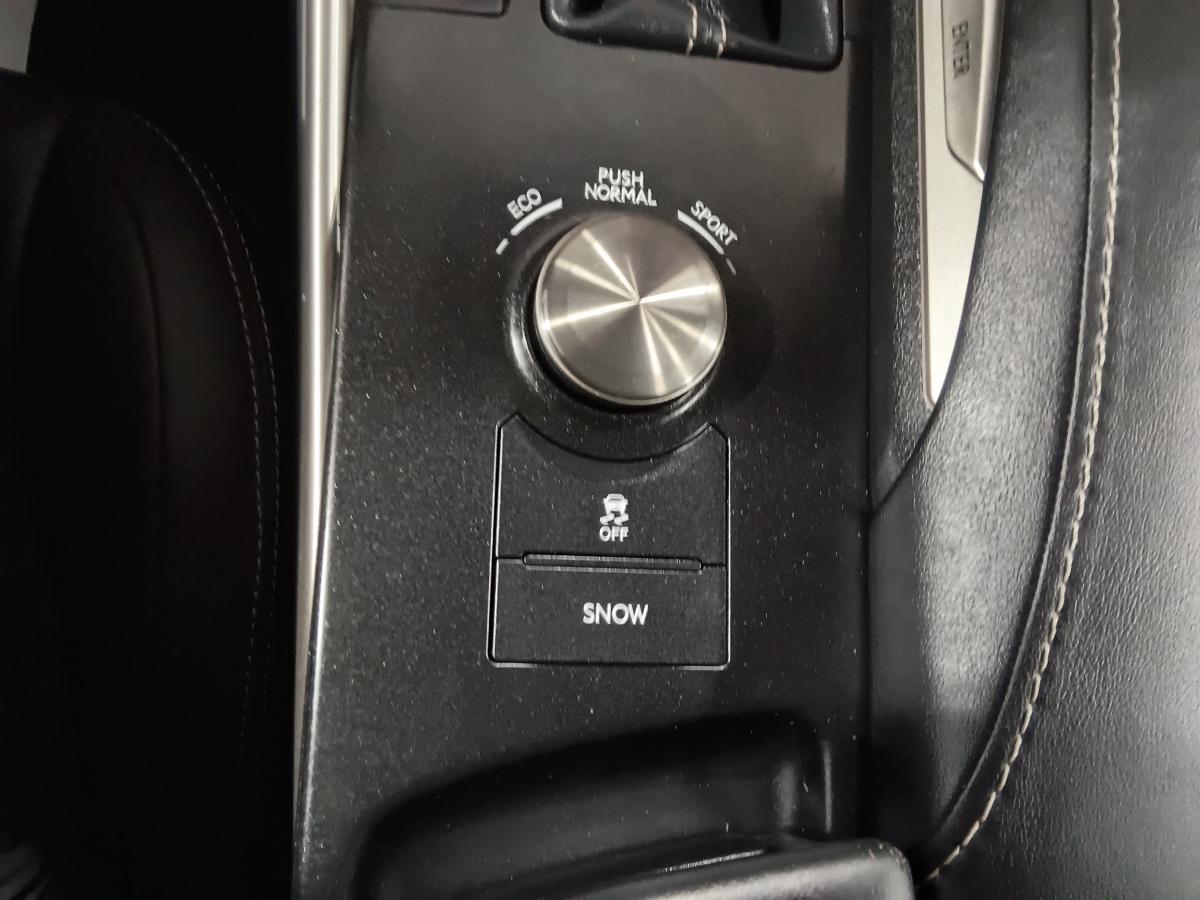 2019 Lexus IS 300 - Image 344