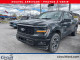 2024 Ford F-150 - Thumbnail 26