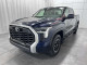 2022 Toyota Tundra - Thumbnail 120