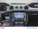 2019 Ford Mustang - Thumbnail 14