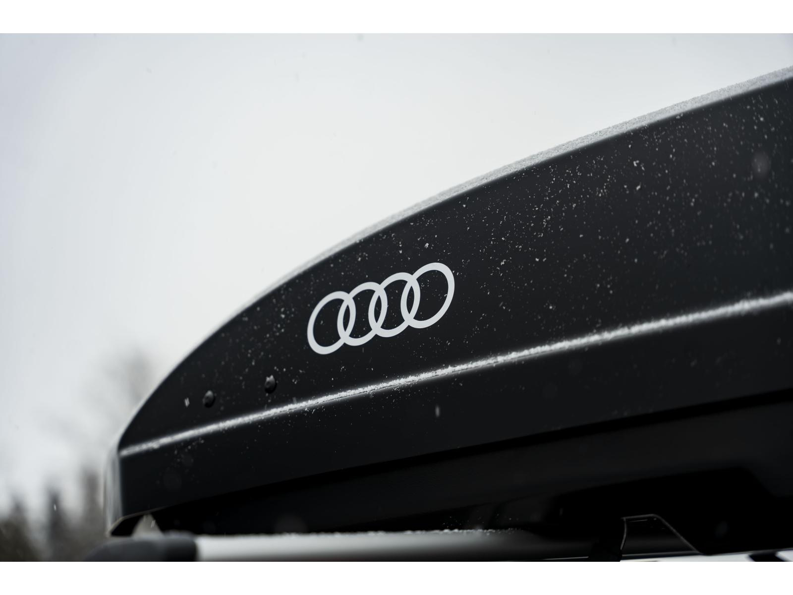 2026 Audi SQ8 - Image 918