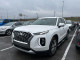 2021 Hyundai Palisade - Thumbnail 30