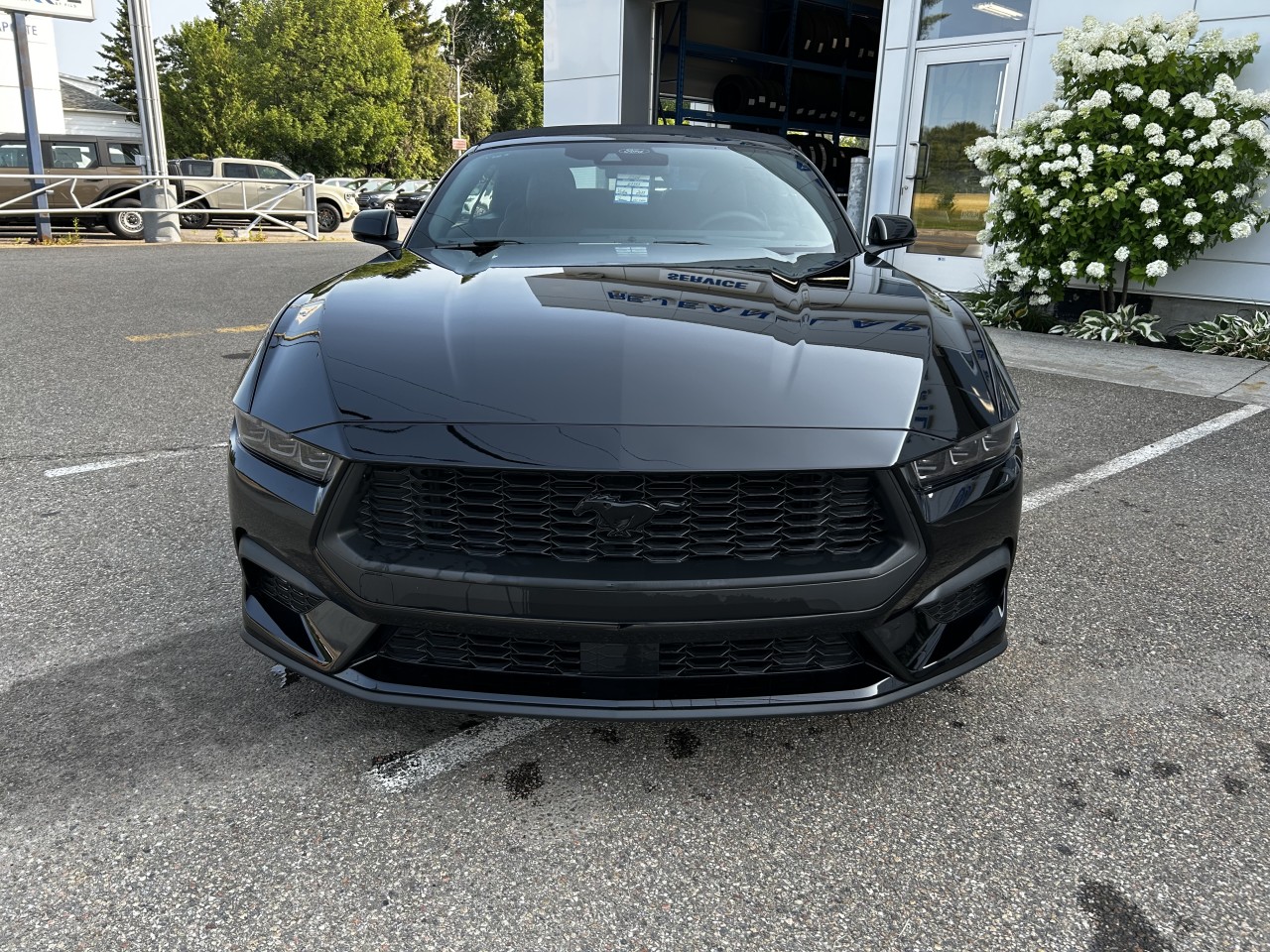 2025 Ford Mustang - Image 2