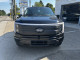 2025 Ford F-150 Lightning - Thumbnail 2