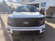 2025 Ford F-150 - Thumbnail 2