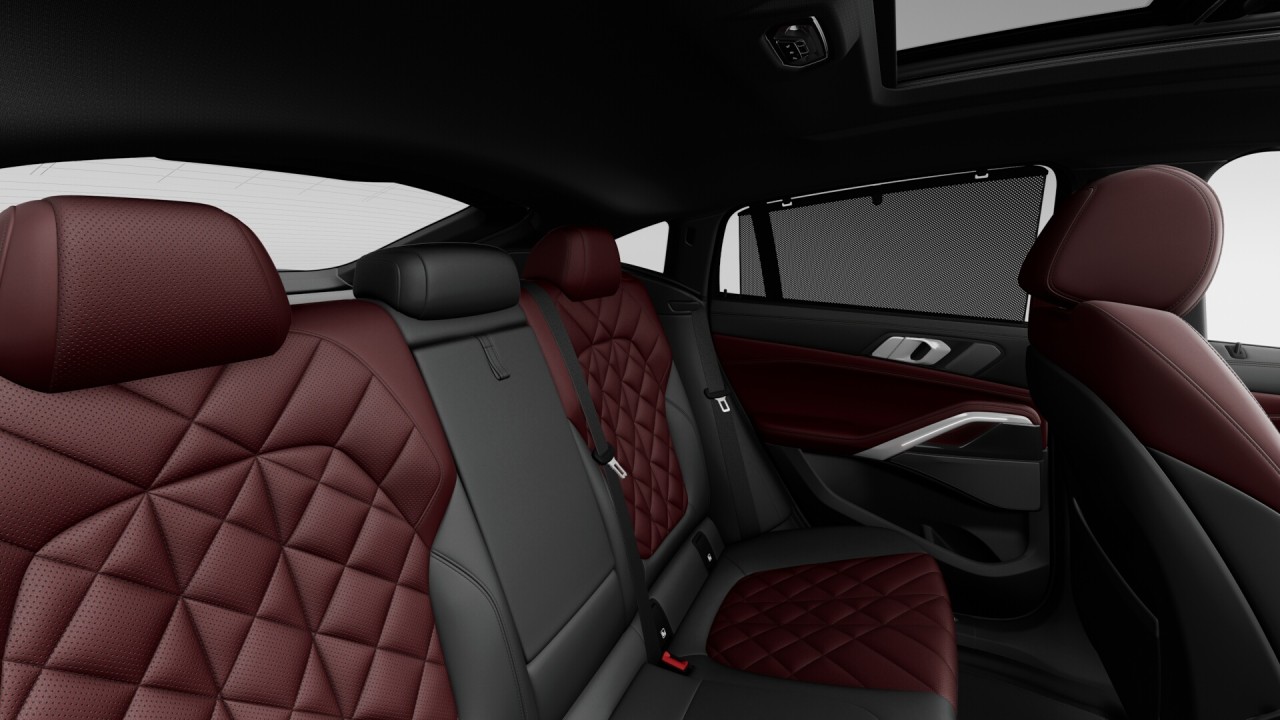 2026 BMW X6 - Image 11