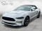 2022 Ford Mustang - Image 1