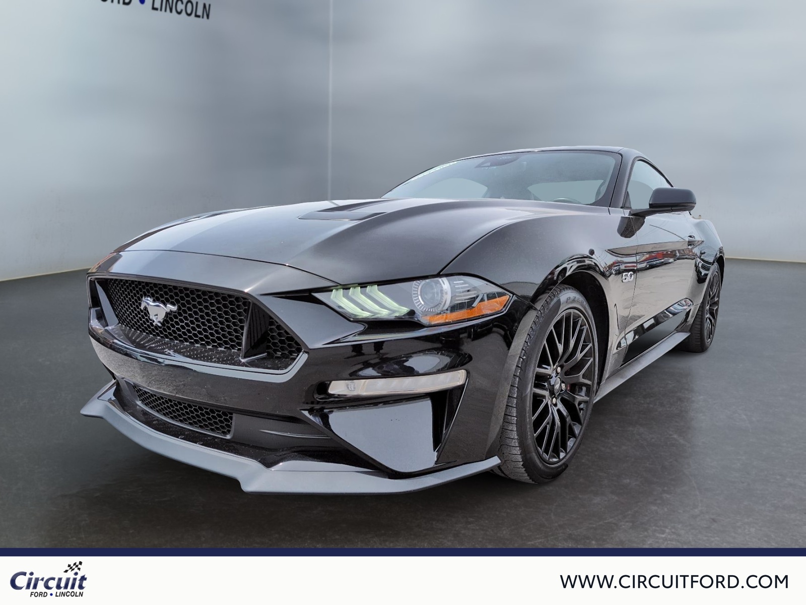 2023 Ford Mustang - Image 1