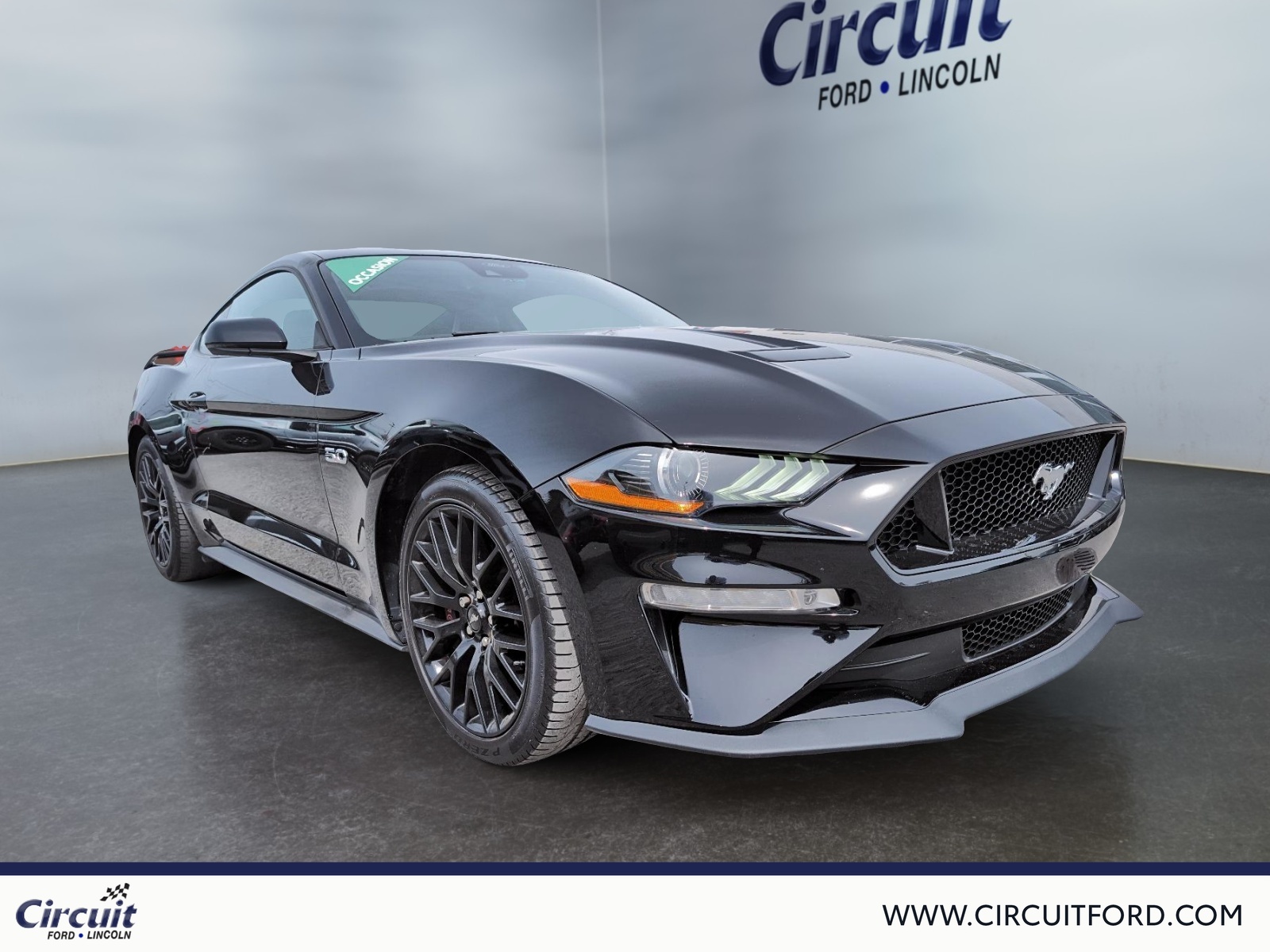 2023 Ford Mustang - Image 3