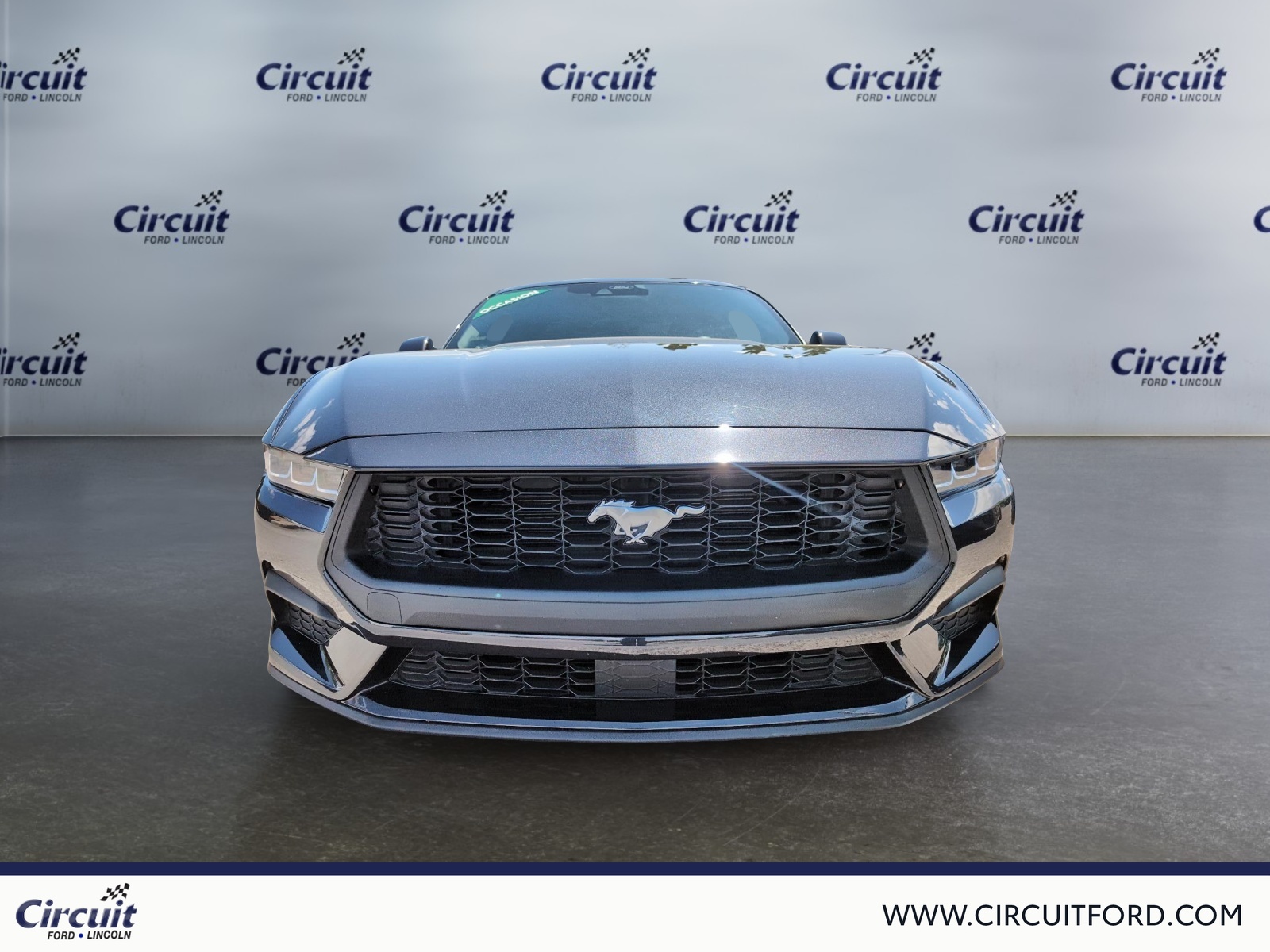 2024 Ford Mustang - Image 2