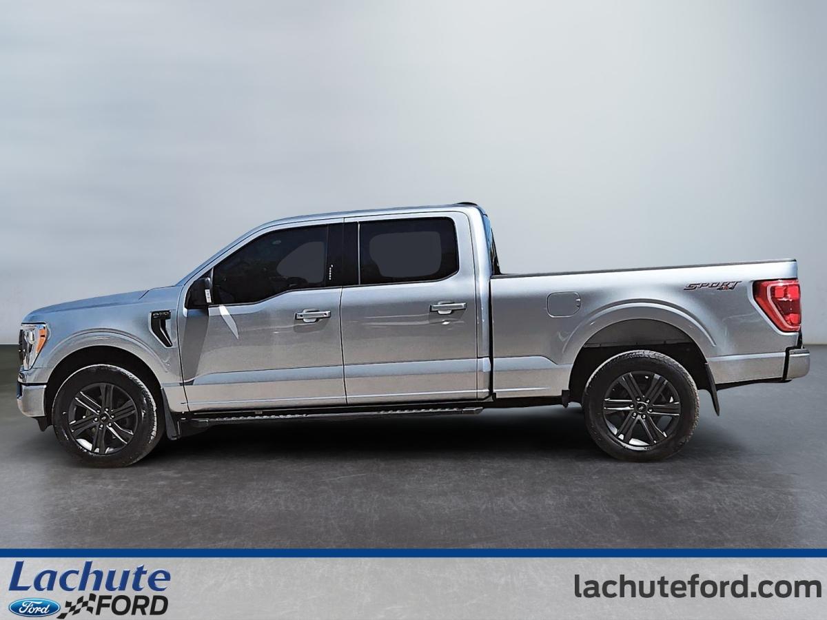 2023 Ford F-150 - Image 6
