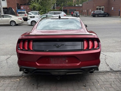 2020 Ford Mustang - Image 5