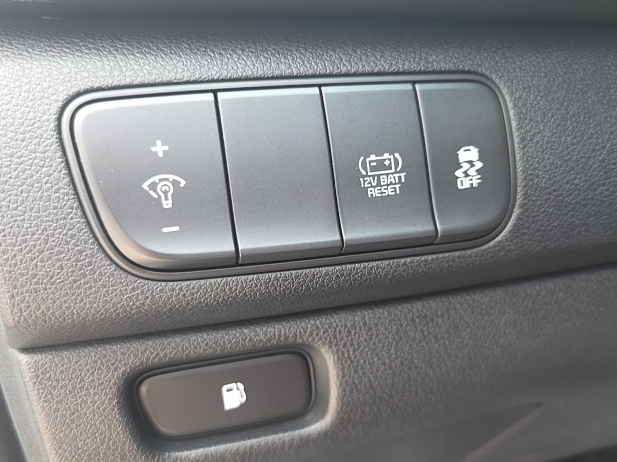 2019 Kia Niro - Image 18