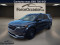 2024 Kia Carnival - Image 1