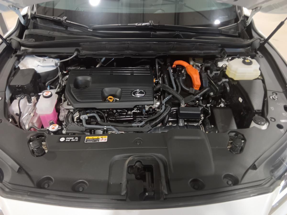 2024 Lexus RX 350 - Image 7