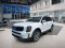 2022 Kia Telluride - Image 1