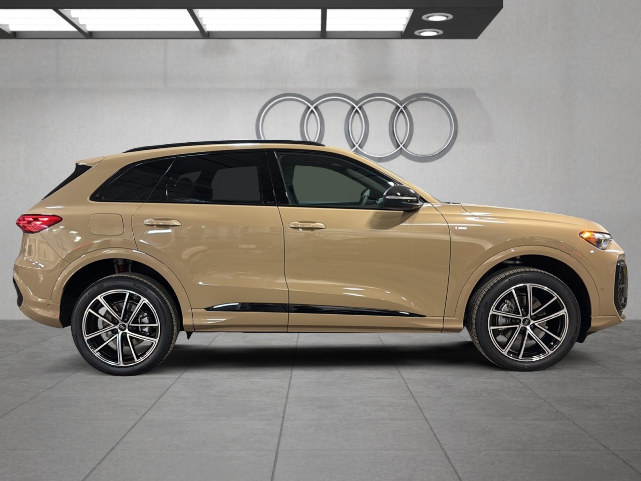 2025 Audi Q5 - Image 4
