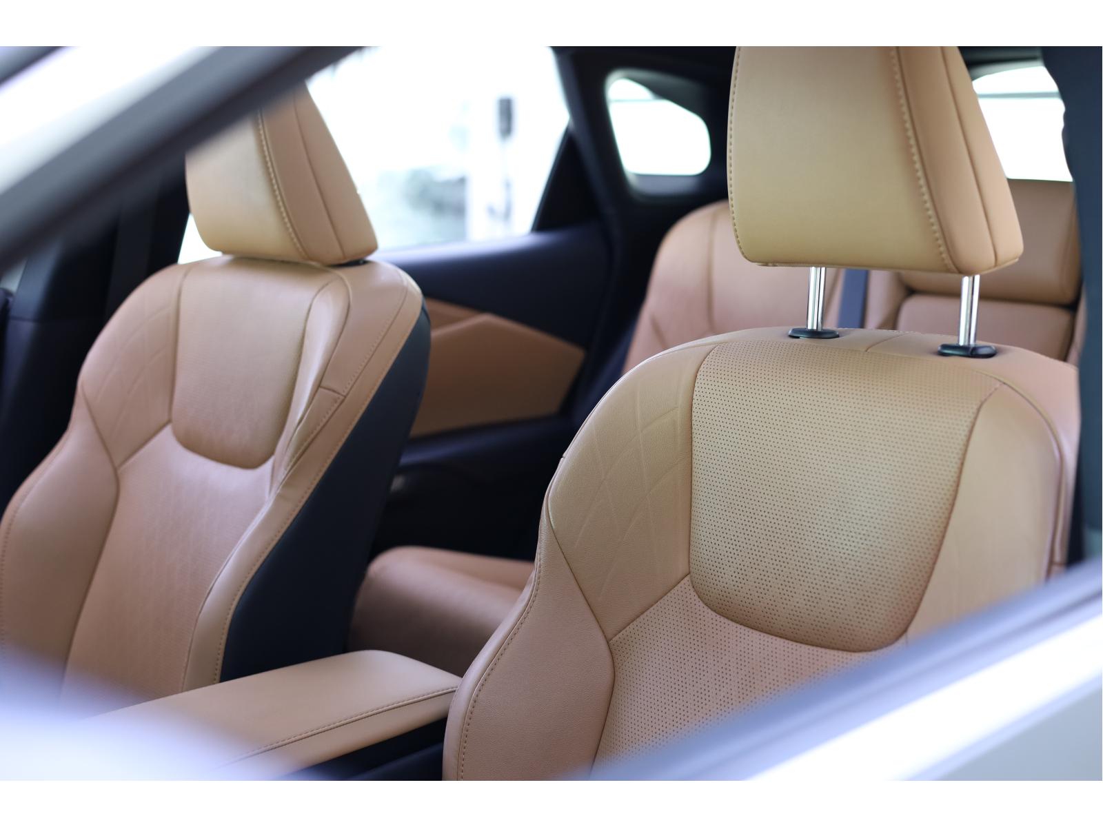2024 Lexus RX - Image 15