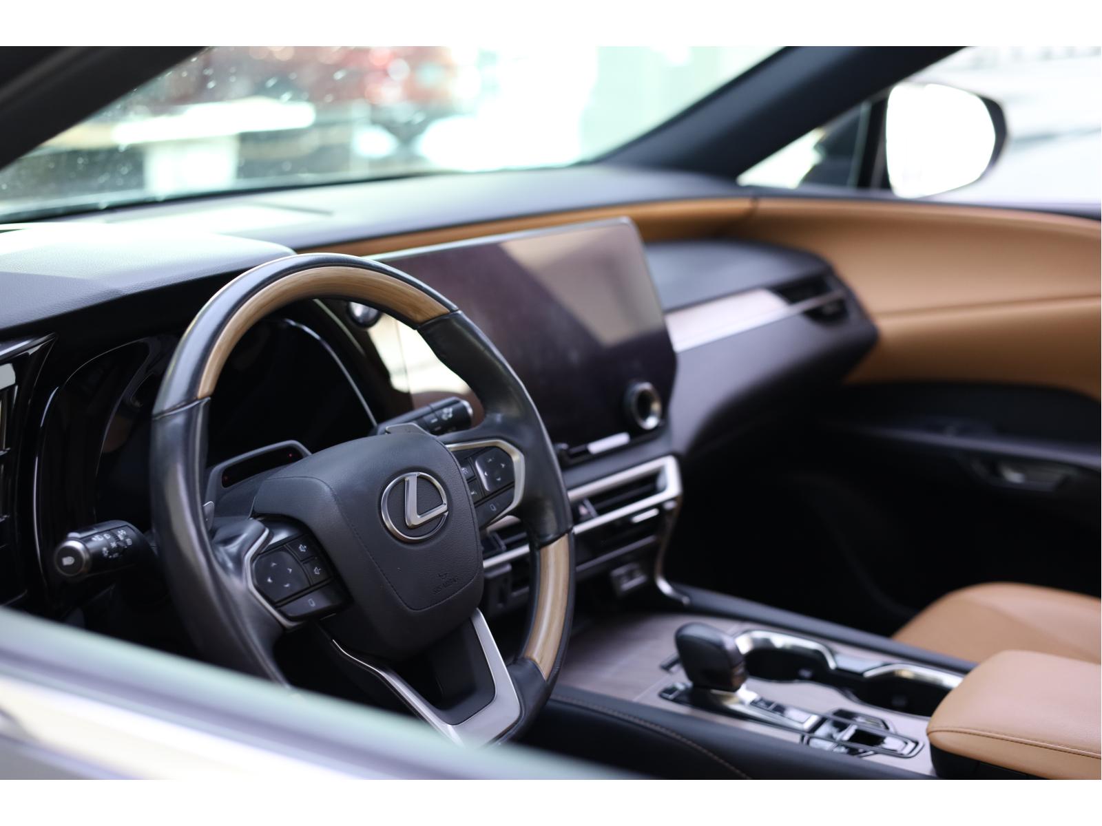 2024 Lexus RX - Image 17