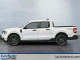 2026 Ford Maverick Hybrid - Thumbnail 3