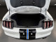 2022 Ford Mustang - Thumbnail 9