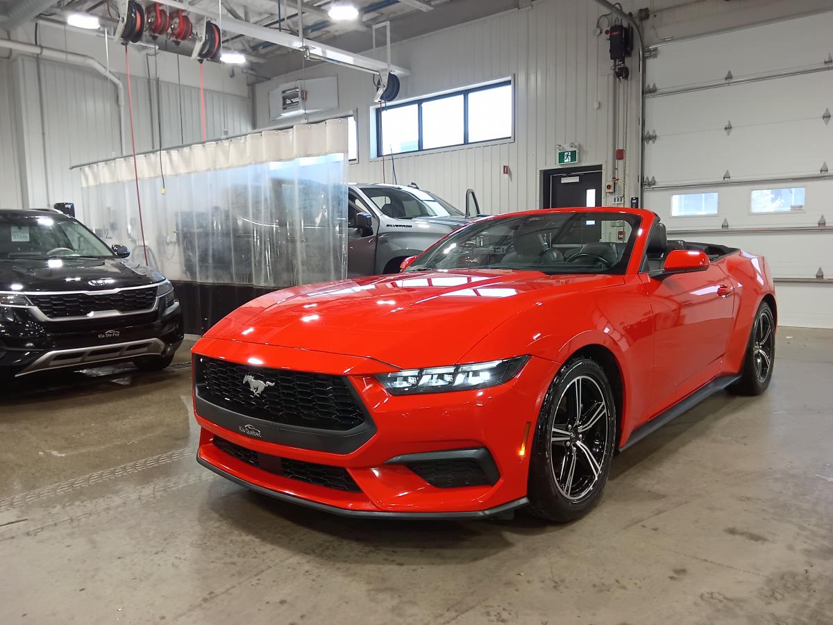 2025 Ford Mustang - Image 35