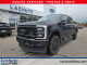 2025 Ford Super Duty F-250 SRW - Thumbnail 1